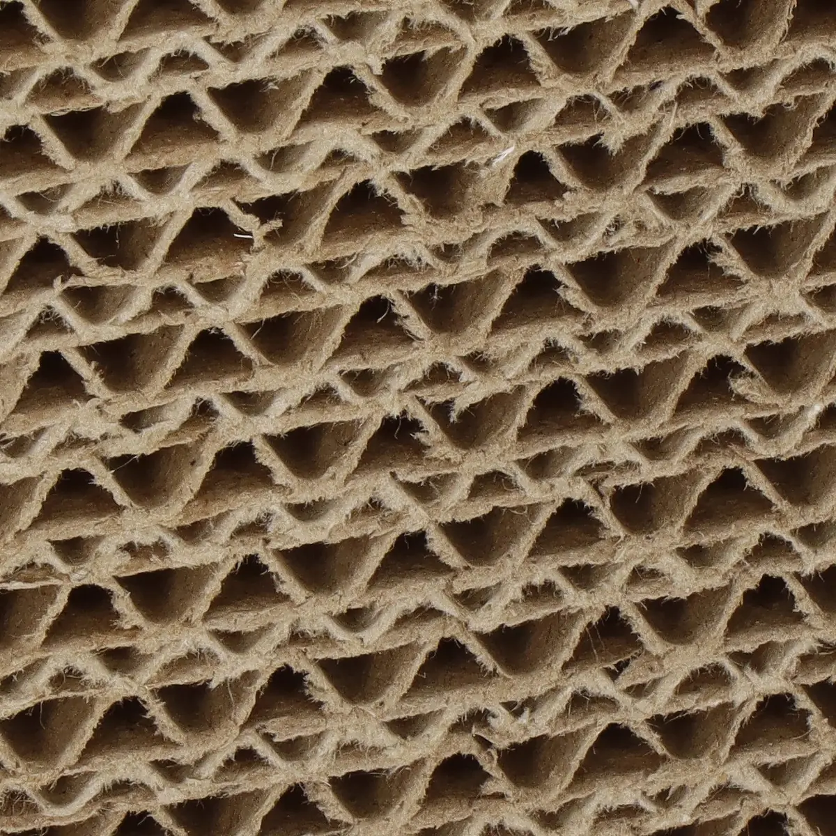 Cat Scratcher Springos PA1080 Photo 4