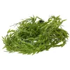 LED garland Springos CL4125, 2 m Photo 4