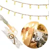 Гирлянда Springos CL4132 — 20 LED Photo 4