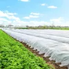 Springos AG0015 crop cover fabric 17 g/m² 5 x 1.6 m Photo 2