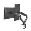 Ultradesk Branch Double galda monitoru statīvs 32" Photo 3