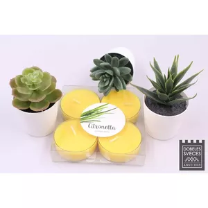 Tealight candles Baltic Candles Maxi 4 pcs, citronella scent, yellow, approx. 8 h burn time