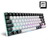 Gaming Keyboard Sharkoon SKILLER SGK50 S3 Photo 2