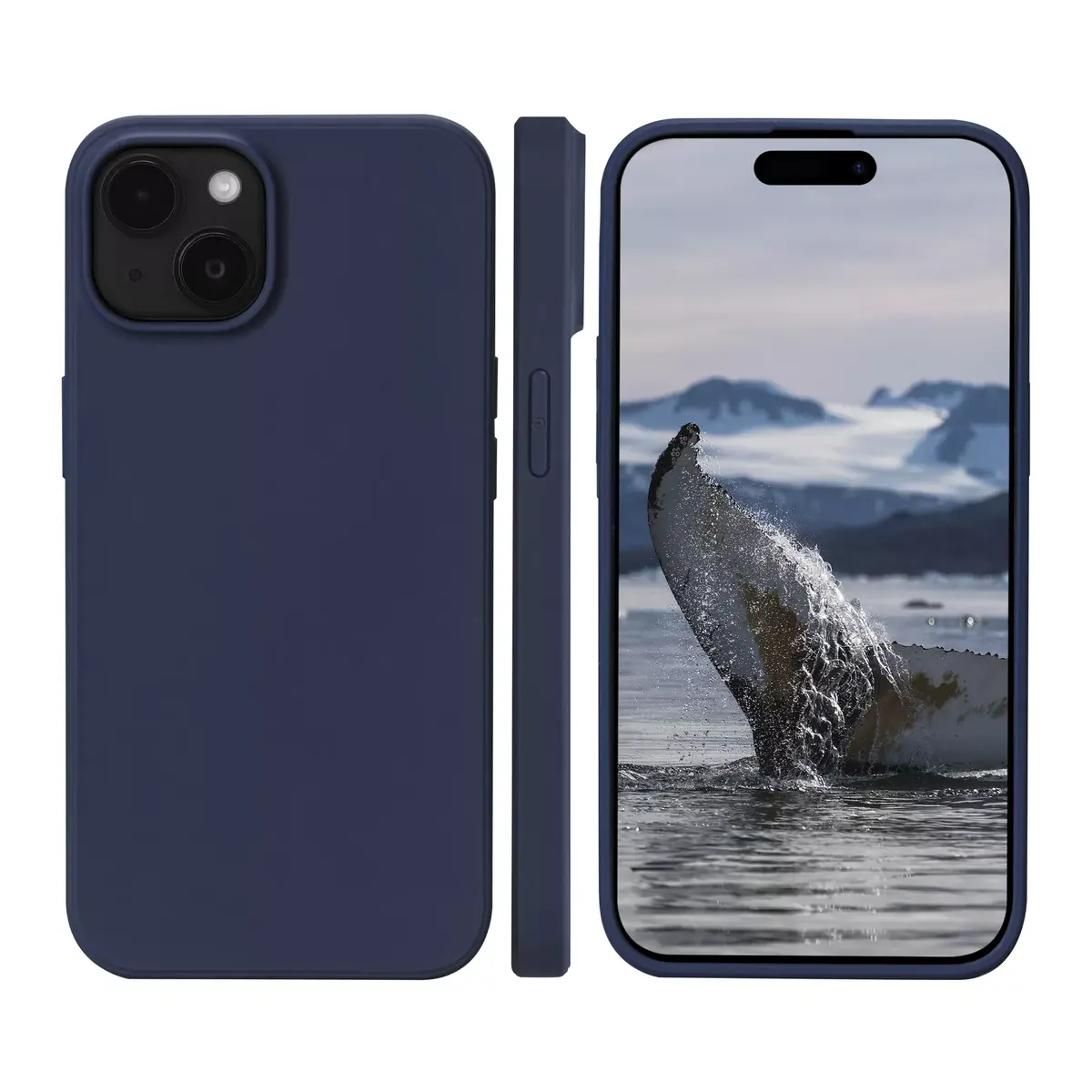 Cover dbramante1928 Greenland iPhone 15 Photo 3