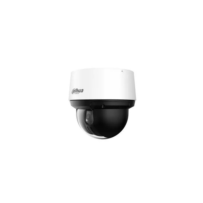 IP Cameras