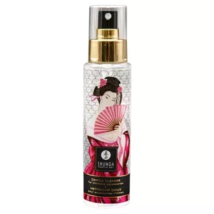 Toy Cleaner Shunga Gentle Toy Cleaner 115 ml — intimate toy cleaning solution