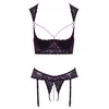Лонглайн-бра и открытые стринги Cottelli Collection 80B Photo 8