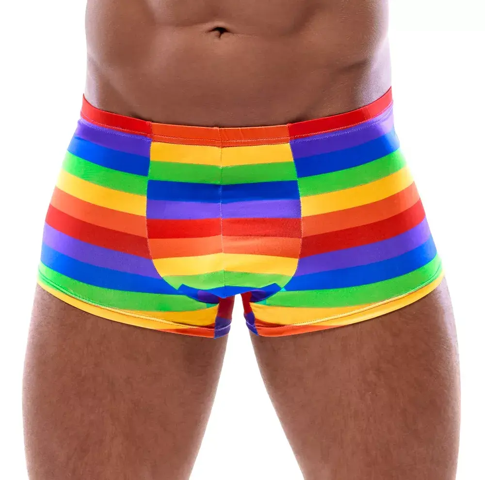 Svenjoyment боксеры 21331649711 Rainbow M Photo 2