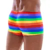 Svenjoyment боксеры 21331649711 Rainbow M Photo 3