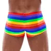 Svenjoyment боксеры 21331649711 Rainbow M Photo 4