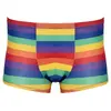 Svenjoyment боксеры 21331649711 Rainbow M Photo 5