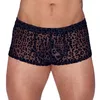 Noir M.Pants leo sieviešu bikses 2XL Photo 2