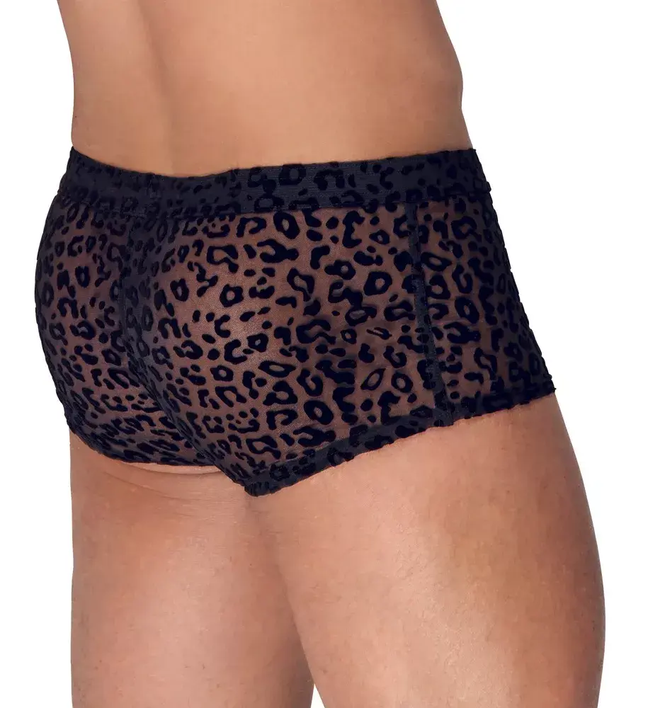 Noir M.Pants leo sieviešu bikses 2XL Photo 3