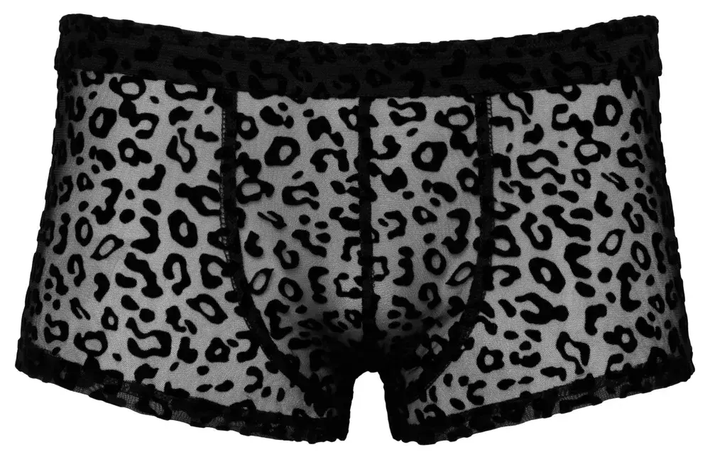 Noir M.Pants leo sieviešu bikses 2XL Photo 4