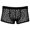 Noir M.Pants leo sieviešu bikses 2XL Photo 4