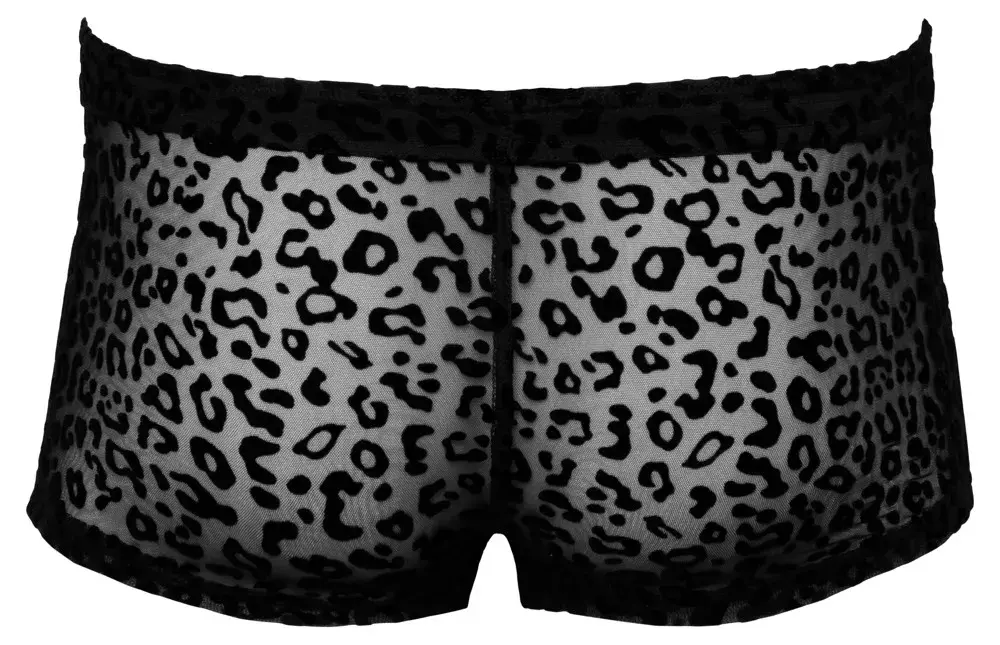 Noir M.Pants leo sieviešu bikses 2XL Photo 5