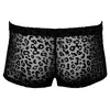 Noir M.Pants leo sieviešu bikses 2XL Photo 5