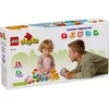 LEGO DUPLO Пассажирский поезд 10412 — конструктор Photo 4