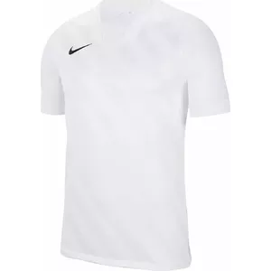 Футболка Nike Dri Fit Challange 3 Y BV6738 100 BV6738 100 белый M