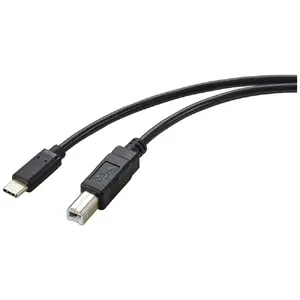 USB cable Renkforce RF-5720420 2m USB C USB B Black