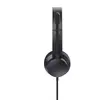 Austiņas Trust Ayda Photo 4
