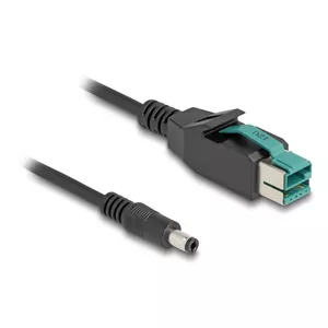 DeLOCK PoweredUSB cable male 12 V to DC 5.5 x 2.5 mm male 3 m