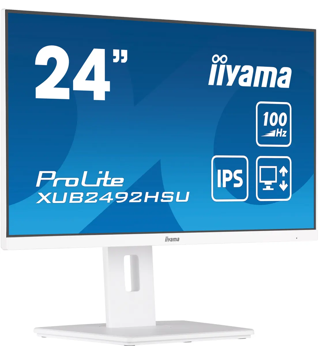 Datora monitors iiyama ProLite XUB2492HSU-W6 23