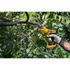 Zaru šķēres DeWALT DCMPP568P1-QW Photo 3