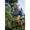 Zaru šķēres DeWALT DCMPP568P1-QW Photo 4