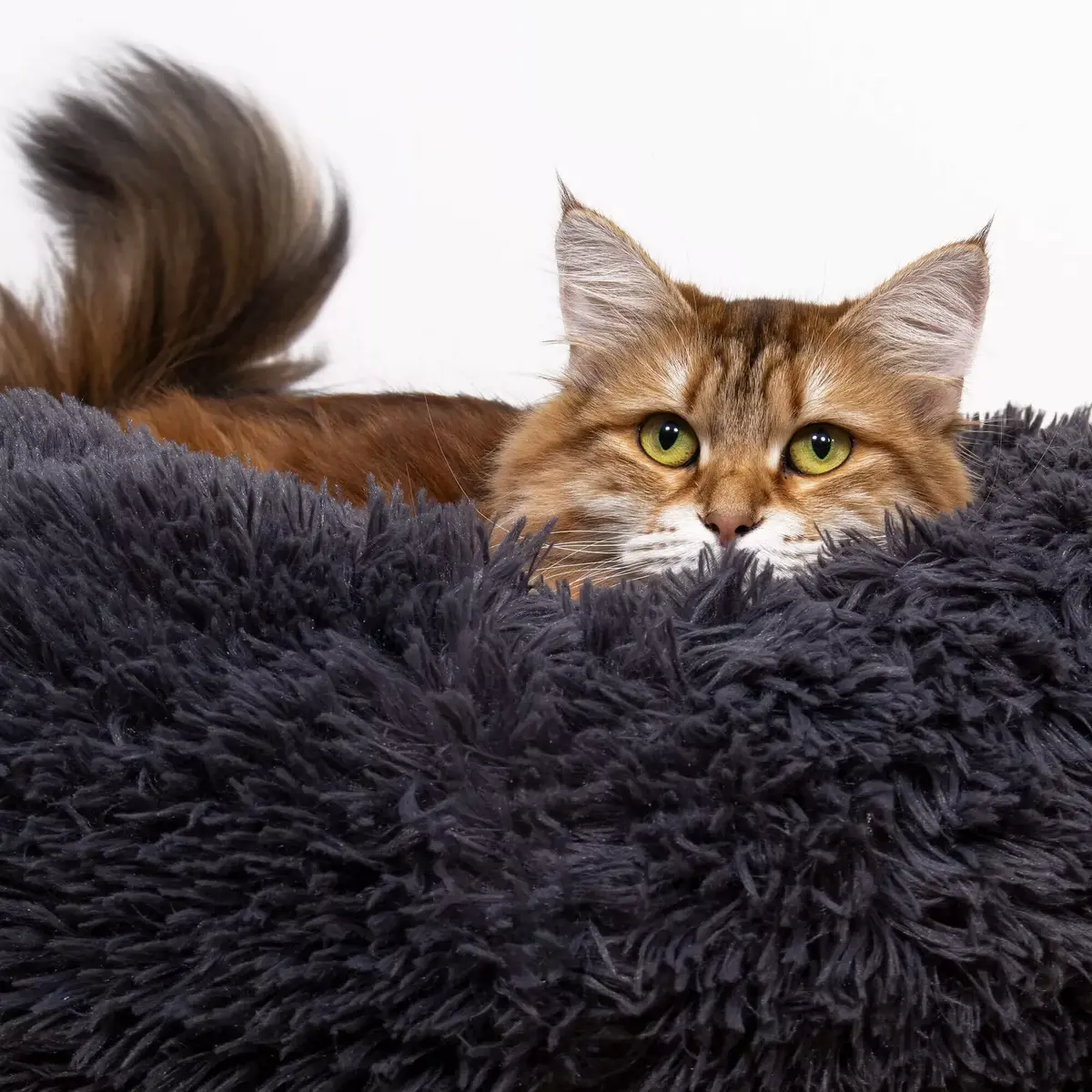 Pet bed Springos PA0150, 80 cm Photo 3