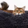 Pet bed Springos PA0150, 80 cm Photo 3
