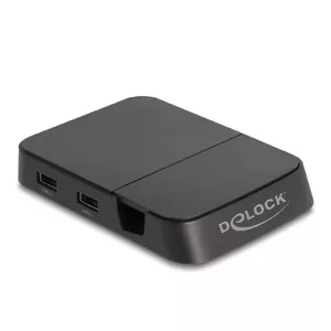 Smartphone Docking Station DeLOCK 88018