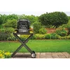 Контактный гриль Ninja Woodfire Outdoor Grill Photo 15