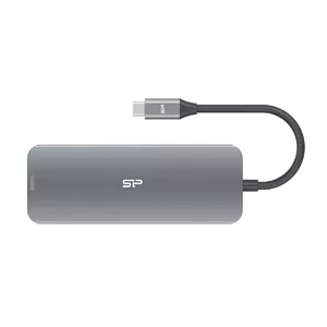 Silicon Power SR30 Dok-ligzda USB 3.2 Gen 1 (3.1 Gen 1) Type-C Pelēks, Metālisks