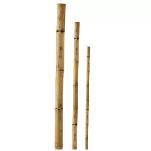 Garden support pole BESK BESK 150 cm — natural bamboo stake, 1 pc