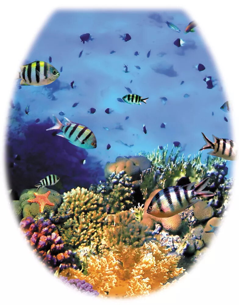 Tualetes sēdeklis Karoplast UNI 1162076 Coral