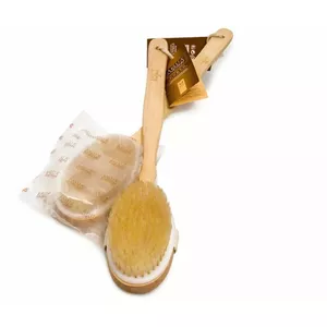 Muguras birste koka Fit Brush (12)