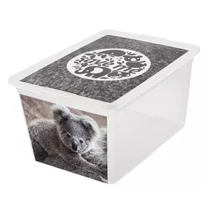 Storage box Branq X Box Deco Koala 30 L — plastic organiser for home and office