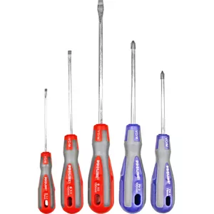Screwdriver set Proline 5 pcs CrVMo, assorted tips, blister pack