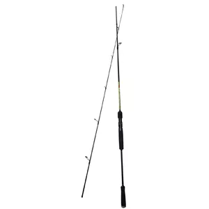 Spinning rod Pro Catch 198 cm, model 9113394 — 198 cm spinning fishing rod