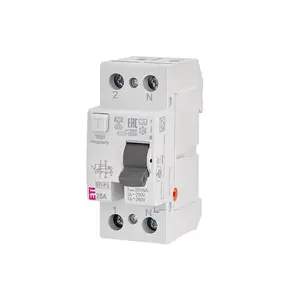 Residual Current Circuit Breaker EFI-P2 25A 2P 30mA Type A, 10kA Breaking Capacity
