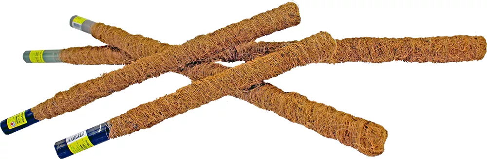 Nūjošanas nūjas