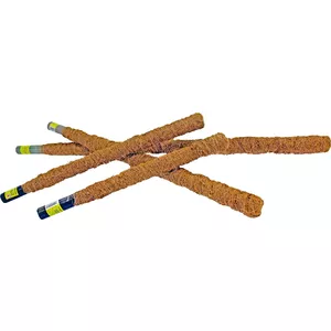 Koka staķis Rim Kowalczyk 180 cm — kokosrieksta apdare, modelis 0004795