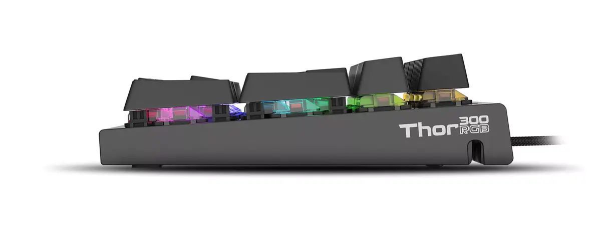Gaming Keyboard GENESIS THOR 300 Photo 3