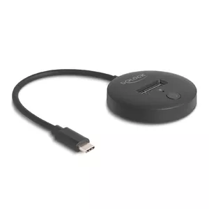 M.2 dokstacija DeLOCK 64254 USB 3.2 Gen 1 Type-C NVMe SATA