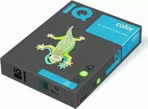 Copy Paper IQ Color A4 80 g/m² black — 500 sheets