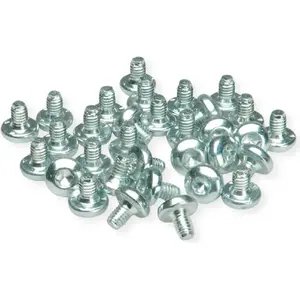 Screw SCHROFF M4x6 Torx (Pentorx) for LIKOSHR series, pack of 32