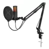 Столичный микрофон KRUX Edis 3000 Photo 2