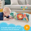Fisher-Price Fold & Play Activity Panel Photo 6