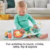 Fisher-Price Fold & Play Activity Panel Photo 8